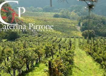 Dicomano vendesi agriturismo - Agriturismo via Dicomano Campagna
 
10, Dicomano - foto 13