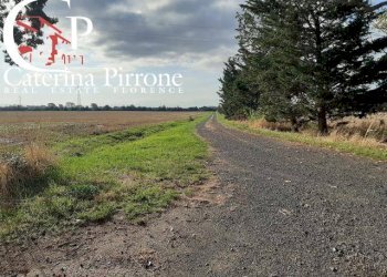 Vada campagna vendesi casale con terreno - Rustico località la Valle
 
10, Rosignano Marittimo - foto 3