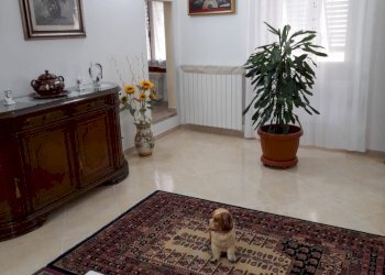 San Godenzo vendesi appartamento in bifamiliare - Appartamento via Falterona, San Godenzo - foto 14