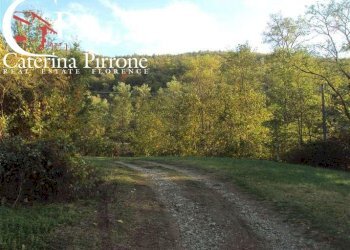 Dicomano carbonile vendesi colonica con terreno - Rustico frazione Carbonile
 
20, Dicomano - foto 11