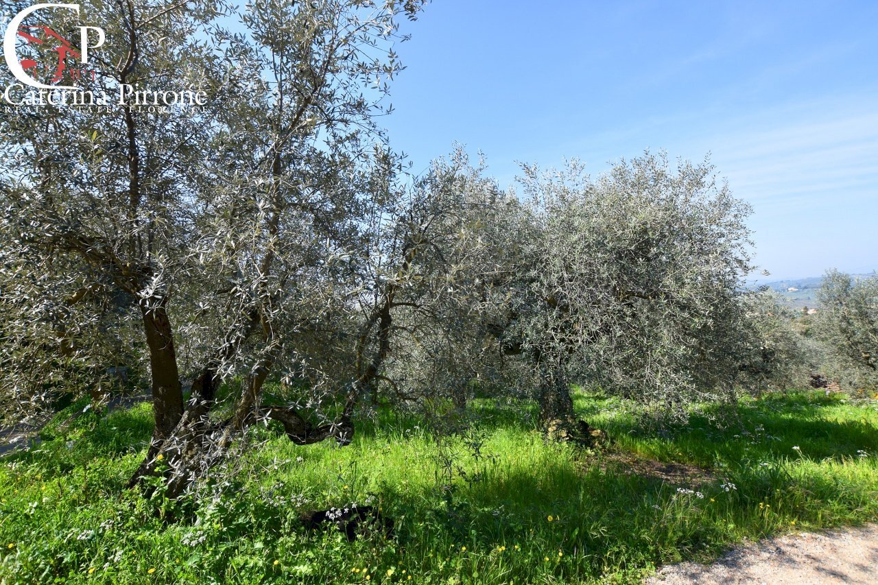 Antella vendesi oliveta - Agricultural land via di Montisoni
 
10, Bagno a Ripoli - photo 1