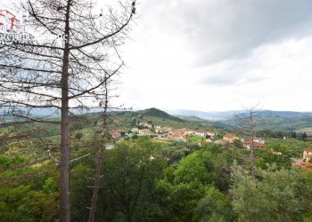 PELAGO VENDESI VILLA MODERNA - Villa via di Magnale
 
10, Pelago - photo 9