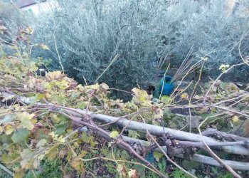 Foto 11 - Rustico via del Parco
 
10, San Godenzo - foto 11