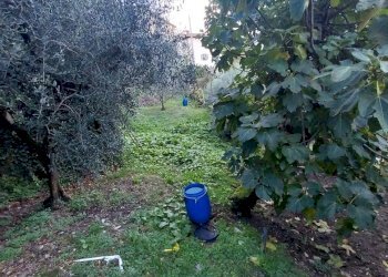 Foto 12 - Rustico via del Parco
 
10, San Godenzo - foto 12