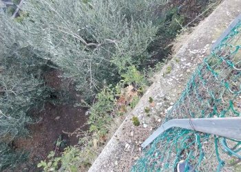 Foto 13 - Rustico via del Parco
 
10, San Godenzo - foto 13