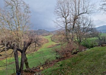 Foto 8 - Rustico frazione Santa Lucia
 
10, Dicomano - foto 8