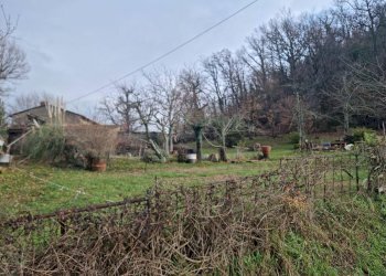 Foto 10 - Rustico frazione Santa Lucia
 
10, Dicomano - foto 10