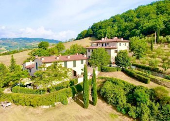 Foto 7 - Azienda agricola località Rimaggio
 
10, Dicomano - foto 7