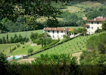 Foto 8 - Azienda agricola località Rimaggio
 
10, Dicomano - foto 8