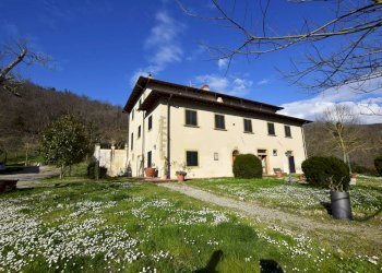 Foto 14 - Azienda agricola località Rimaggio
 
10, Dicomano - foto 14