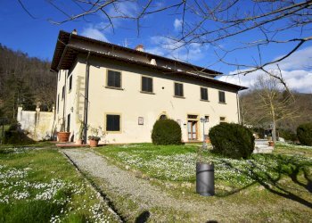 Foto 16 - Azienda agricola località Rimaggio
 
10, Dicomano - foto 16