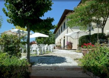 Foto 21 - Azienda agricola località Rimaggio
 
10, Dicomano - foto 21