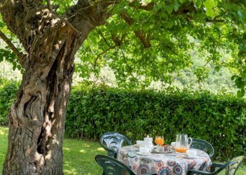 Foto 30 - Azienda agricola località Rimaggio
 
10, Dicomano - foto 30