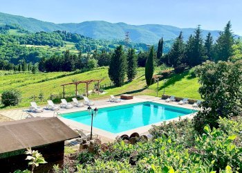 Foto 38 - Azienda agricola località Rimaggio
 
10, Dicomano - foto 38