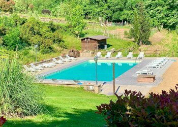 Foto 39 - Azienda agricola località Rimaggio
 
10, Dicomano - foto 39