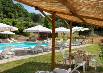 Foto 42 - Azienda agricola località Rimaggio
 
10, Dicomano - foto 42