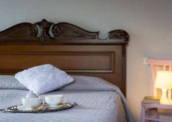 Foto 54 - Azienda agricola località Rimaggio
 
10, Dicomano - foto 54