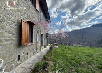 Foto 4 - Rustico strada vicinale della Villa
 
snc, Pratovecchio Stia - foto 4