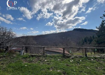 Foto 5 - Rustico strada vicinale della Villa
 
snc, Pratovecchio Stia - foto 5