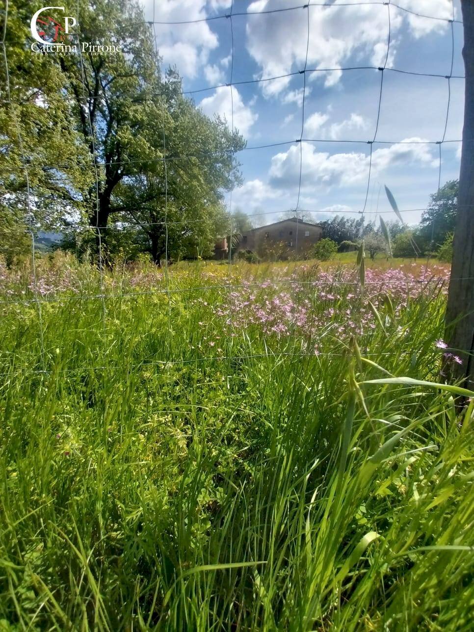 Foto 1 - Rustico via di San Gavino
 
10, Scarperia e San Piero - foto 1