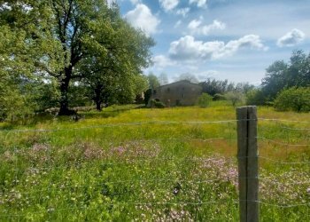 Foto 2 - Rustico via di San Gavino
 
10, Scarperia e San Piero - foto 2