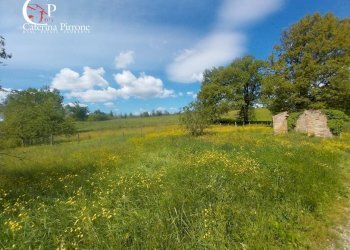 Foto 5 - Rustico via di San Gavino
 
10, Scarperia e San Piero - foto 5