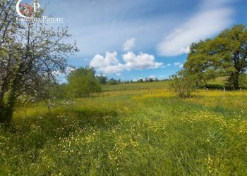 Foto 6 - Rustico via di San Gavino
 
10, Scarperia e San Piero - foto 6