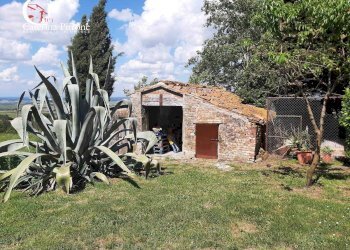 Foto 12 - Casa semi indipendente via Vecchia di Ligia
 
10, Montecatini Val di Cecina - foto 12