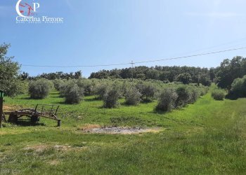 Foto 19 - Casa semi indipendente via Vecchia di Ligia
 
10, Montecatini Val di Cecina - foto 19