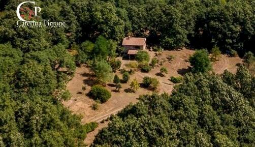 Foto 2 - Rustic via delle Bastiole
 
10, Montieri - photo 2