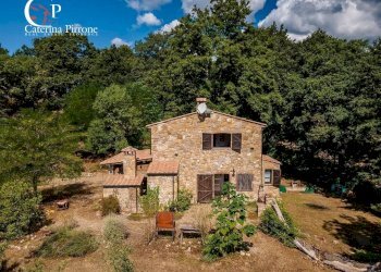 Foto 3 - Rustico via delle Bastiole
 
10, Montieri - foto 3