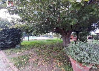 Foto 9 - Casa semi indipendente stradone del Belvedere, Rosignano Marittimo - foto 9