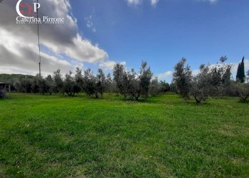 Foto 10 - Casa semi indipendente stradone del Belvedere, Rosignano Marittimo - foto 10