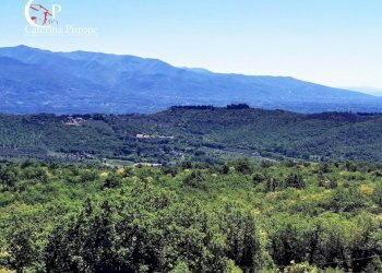 Foto 43 - Villa località Montecucco, Rignano sull'Arno - foto 43