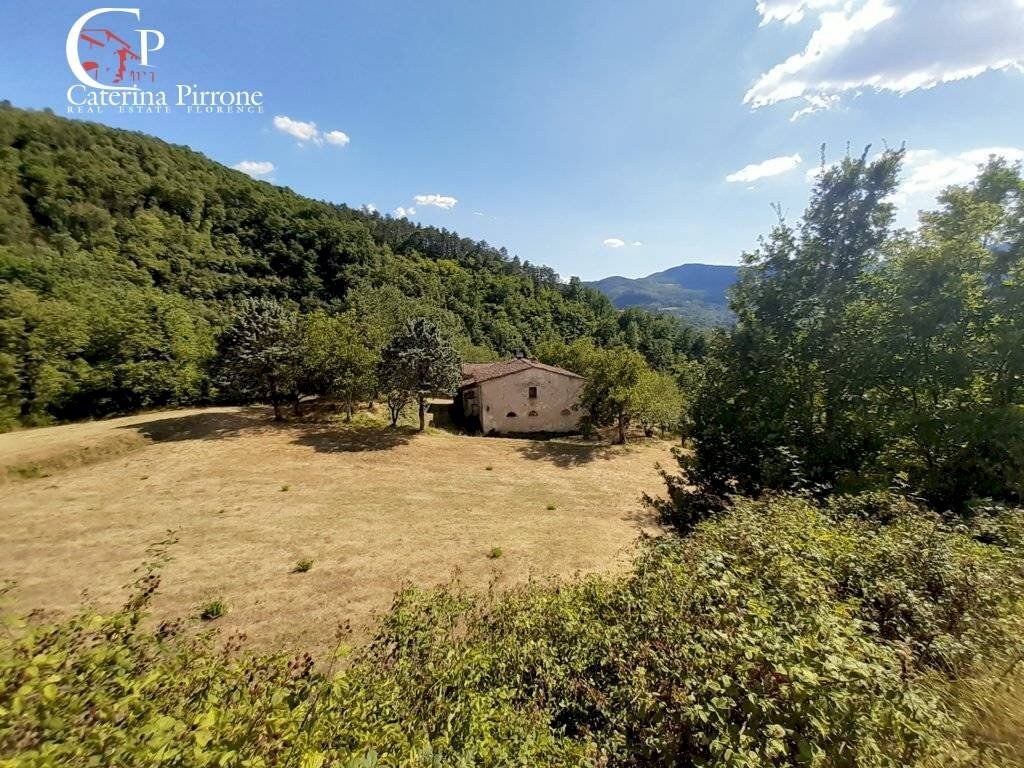 Foto 2 - Rustic frazione Dicomano Campagna
 
10, Dicomano - photo 2