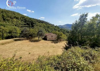 Foto 2 - Rustico frazione Dicomano Campagna
 
10, Dicomano - foto 2