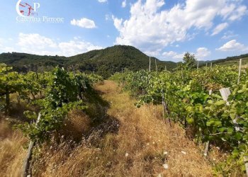 Foto 4 - Rustico frazione Dicomano Campagna
 
10, Dicomano - foto 4