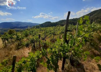 Foto 5 - Rustico frazione Dicomano Campagna
 
10, Dicomano - foto 5