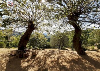 Foto 8 - Rustico frazione Dicomano Campagna
 
10, Dicomano - foto 8