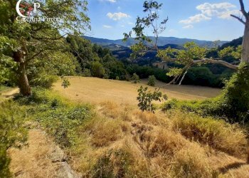 Foto 10 - Rustico frazione Dicomano Campagna
 
10, Dicomano - foto 10