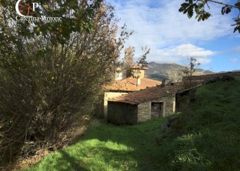 Foto 4 - Rustico località Spaliena
 
10, San Godenzo - foto 4