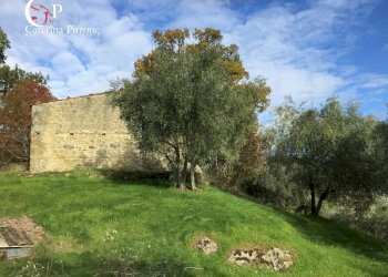 Foto 6 - Rustico località Spaliena
 
10, San Godenzo - foto 6