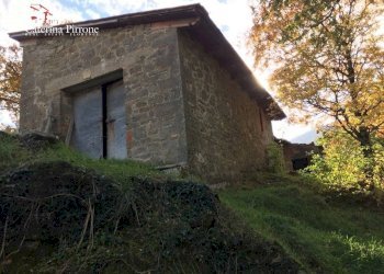 Foto 7 - Rustico località Spaliena
 
10, San Godenzo - foto 7