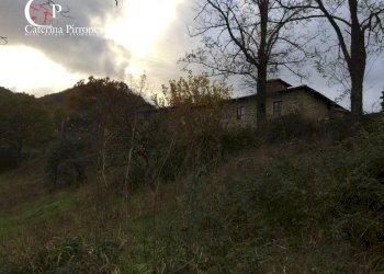 Foto 16 - Rustico località Spaliena
 
10, San Godenzo - foto 16