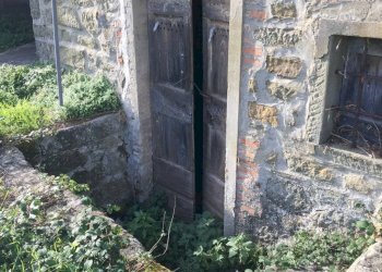 Foto 20 - Rustico località Spaliena
 
10, San Godenzo - foto 20