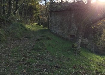 Foto 21 - Rustico località Spaliena
 
10, San Godenzo - foto 21