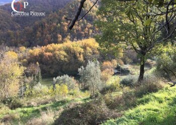 Foto 22 - Rustico località Spaliena
 
10, San Godenzo - foto 22