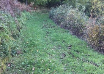 Foto 23 - Rustico località Spaliena
 
10, San Godenzo - foto 23