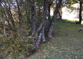 Foto 25 - Rustico località Spaliena
 
10, San Godenzo - foto 25