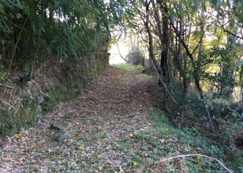 Foto 26 - Rustico località Spaliena
 
10, San Godenzo - foto 26